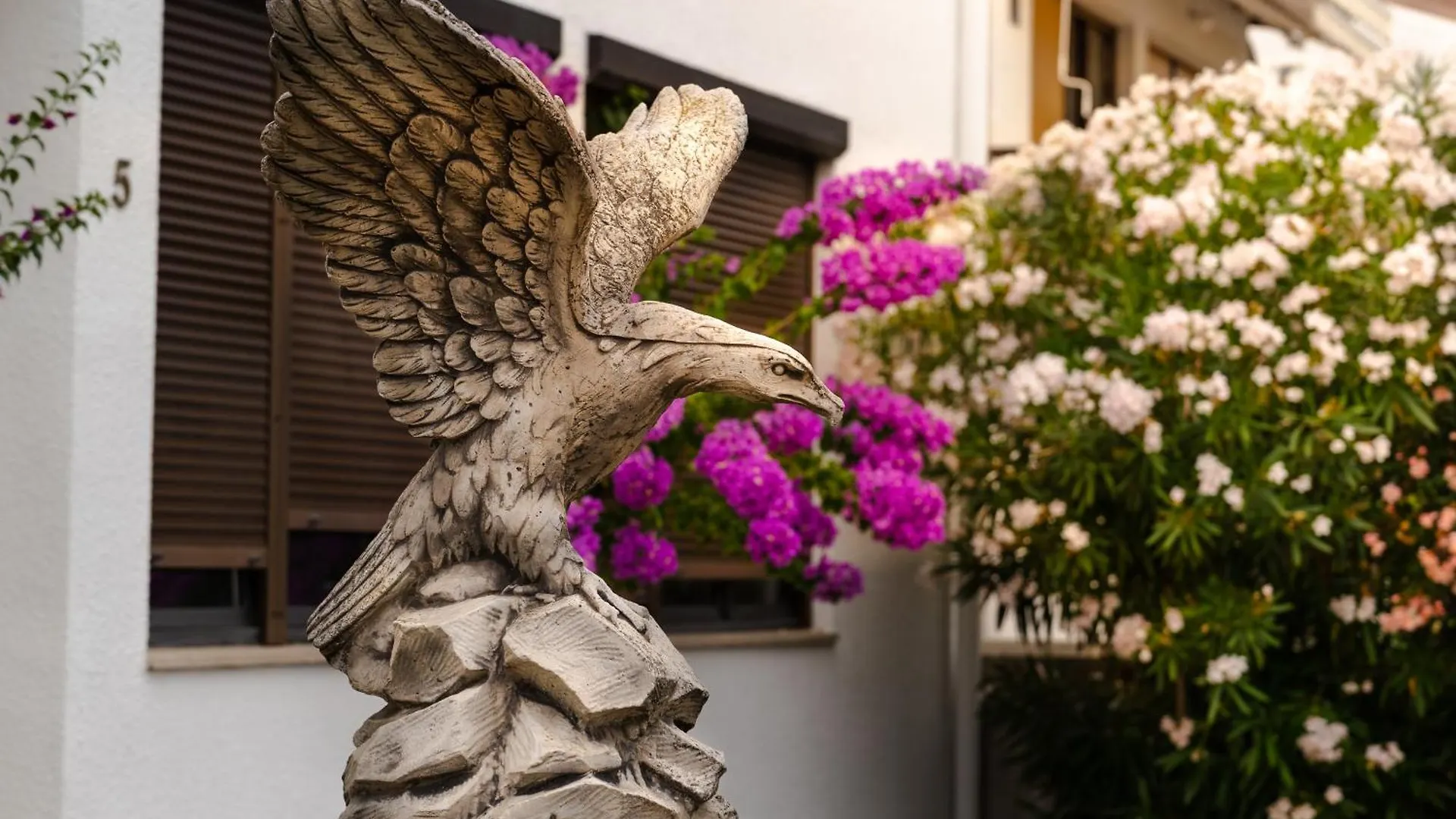 Apartments Dida Sime Starigrad Paklenica Κροατία